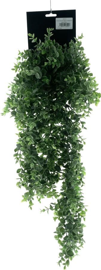 Nova Nature Boxwood bush large on hang card green 65cm - Foto 1