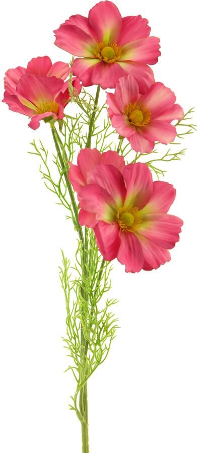 Nova Nature Cosmos Bibi dk pink 77cm