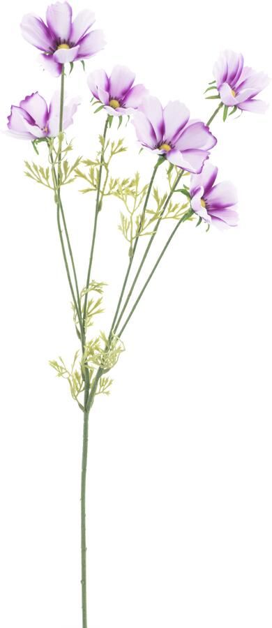 Nova Nature Cosmos spray Aerosol mauve 79cm - Foto 1