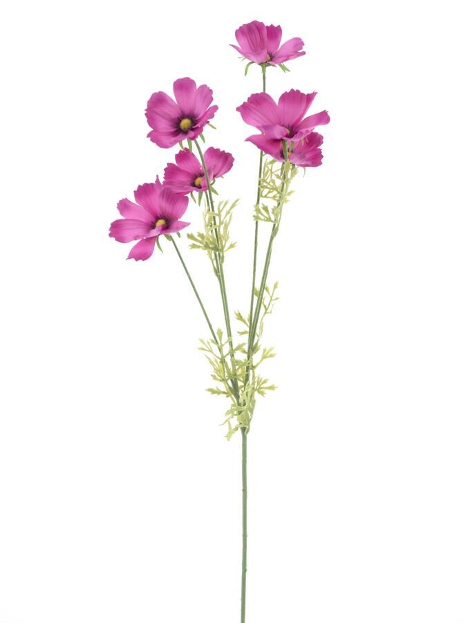 Nova Nature Cosmos spray Aerosol old pink 79cm