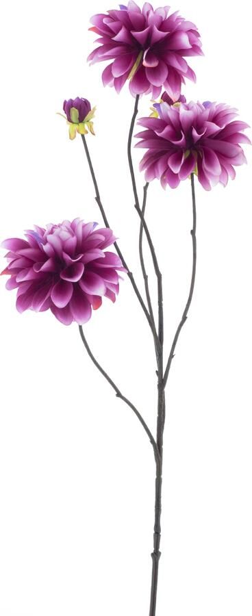 Nova Nature Dahlia spray Capitolbeauty 89cm