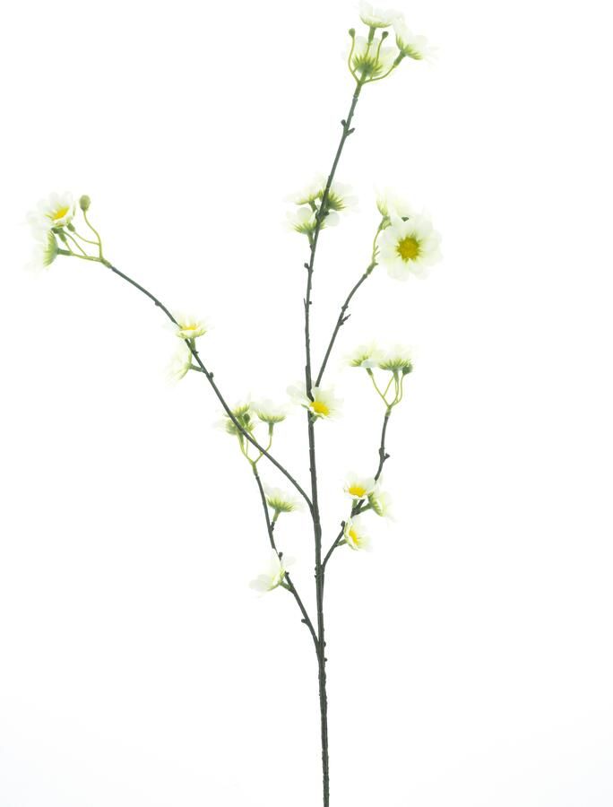 Nova Nature Daisy spray Moriecream 83cm - Foto 1