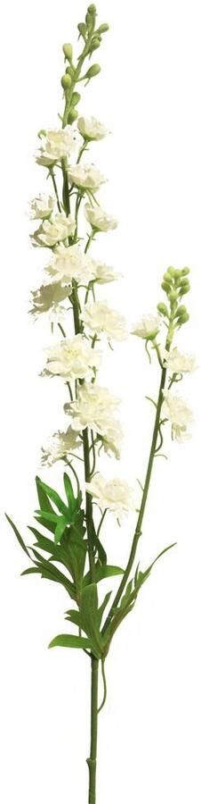 Nova Nature Delphinium Agathe crème 85cm