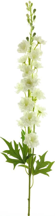 Nova Nature Delphinium Finn spray cream 85cm - Foto 1