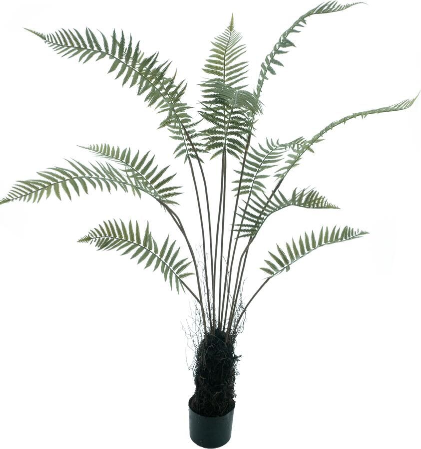 Nova Nature Fern tree in pot green 150cm - Foto 1