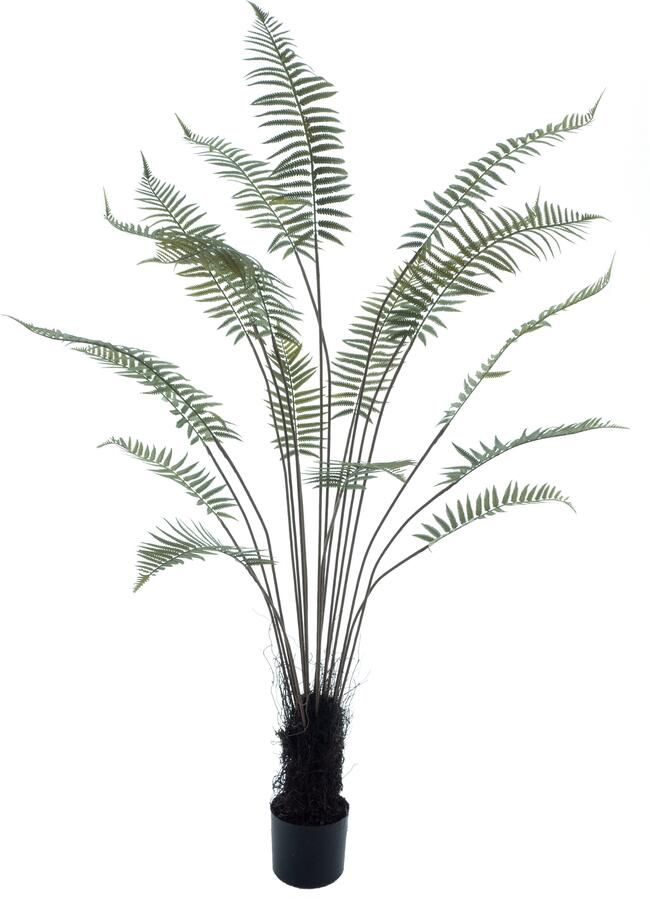 Nova Nature Fern tree in pot green 180cm