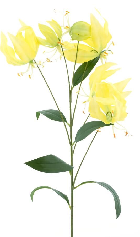 Nova Nature Gloriosa lily sprayyellow 90cm