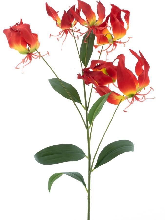 Nova Nature Gloriosa lilyspray red 90cm - Foto 1