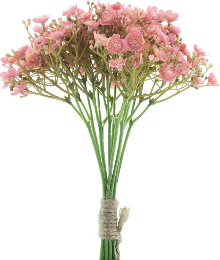 Nova Nature Gypso bundle pink 30cm - Foto 1