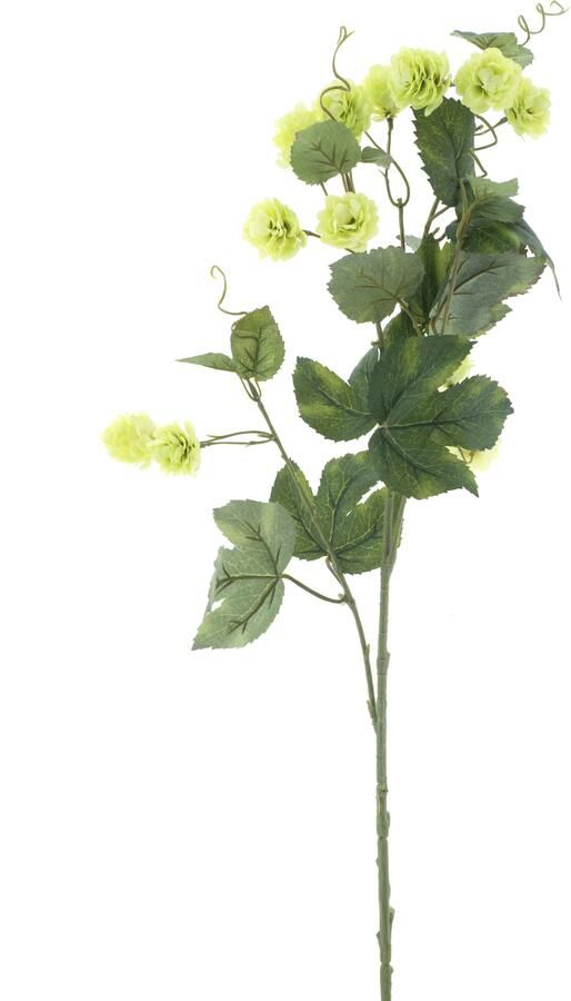 Nova Nature Hop flower spray Leffe green 81cm - Foto 1