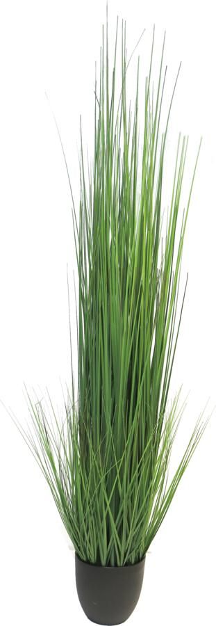 Botanic-Haus Kunstgras Gras Festuca (1 stuk)