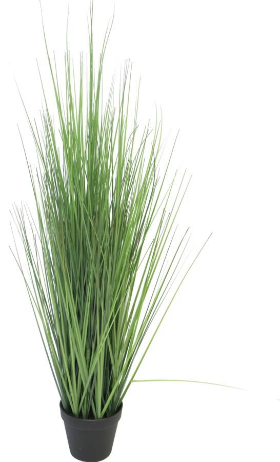 Botanic-Haus Kunstgras Gras Festuca (1 stuk)