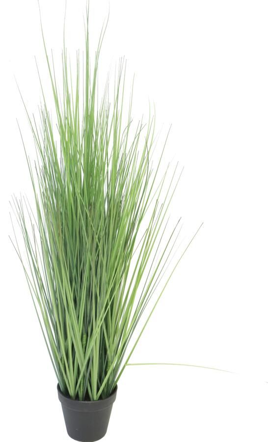 Botanic-Haus Kunstgras Gras Festuca (1 stuk)