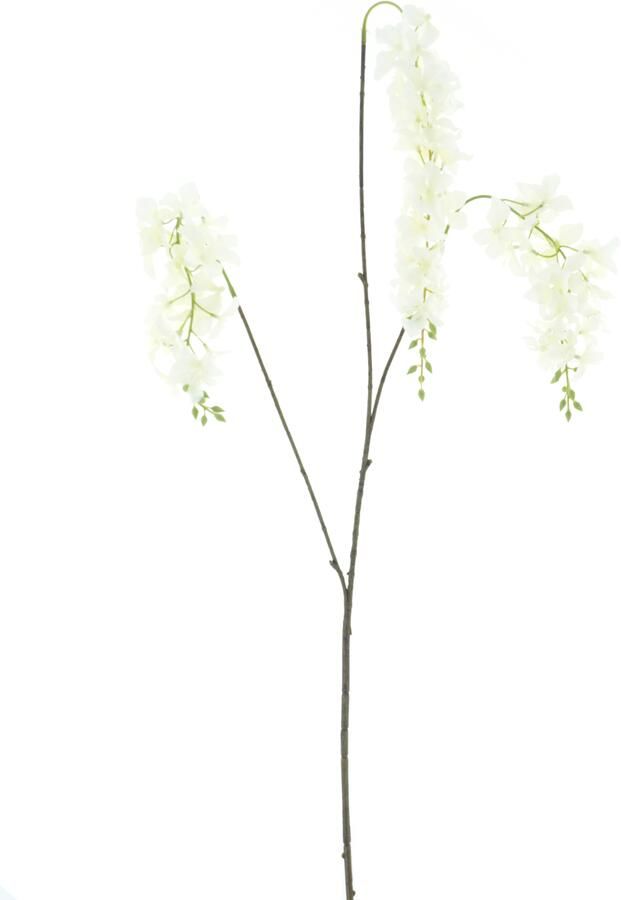 Nova Nature Larkspur spray cream 110cm