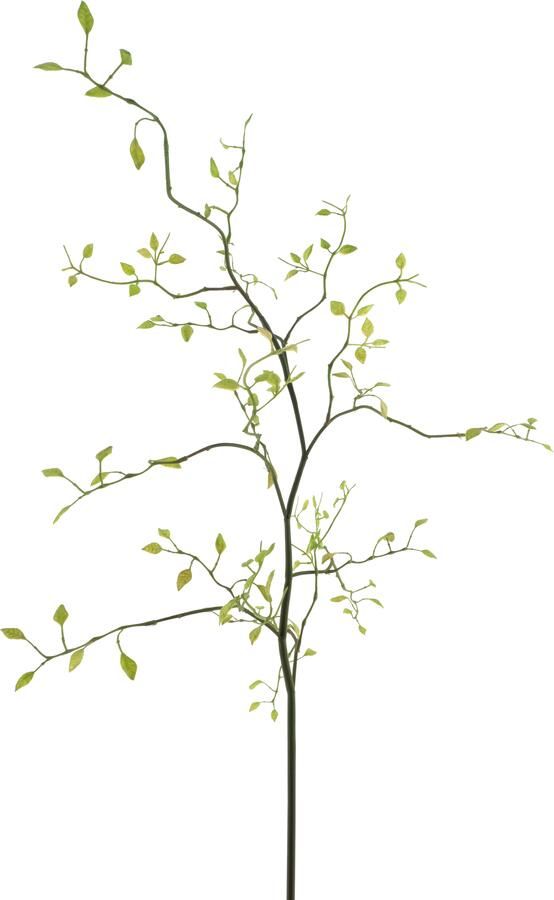 Nova Nature Lonicera leaf spray Fresh green 96cm - Foto 1