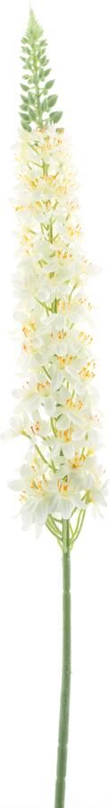 Nova Nature Lupinus spray cream 109cm - Foto 1