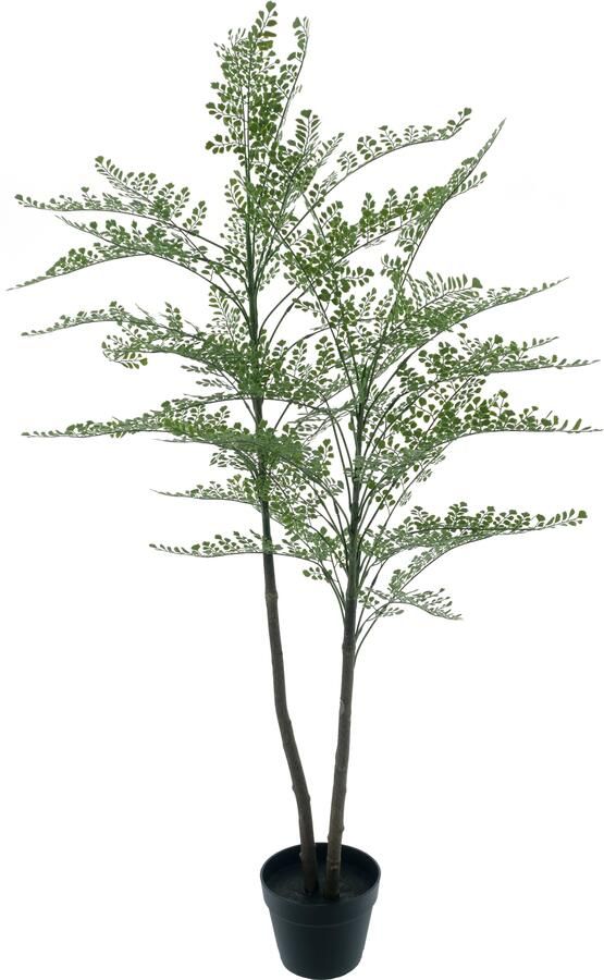 Nova Nature Maidenhair fern Cuba in pot green 140cm