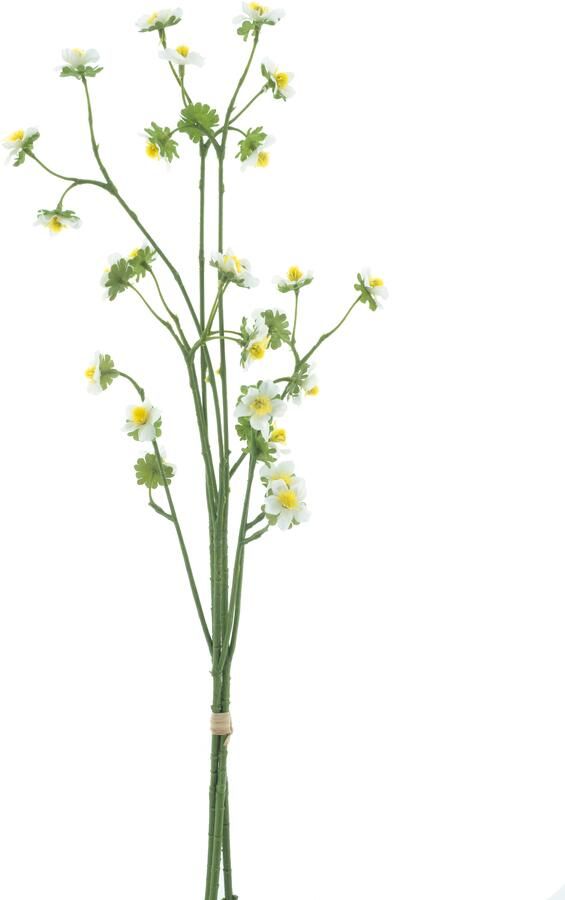 Nova Nature Mini daisy bundle white 55cm