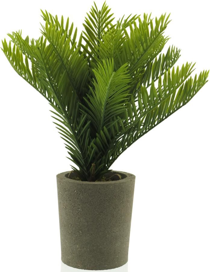 Nova Nature Mini palm in pot green 40cm