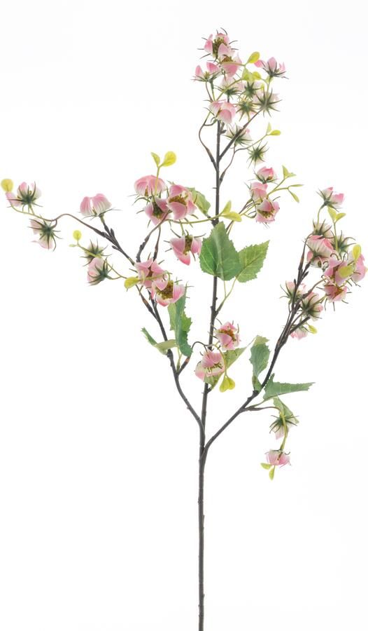 Nova Nature Mini physalis spray pink 92cm