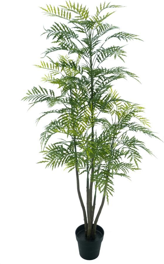 Nova Nature Palm Bonaire in pot green 180cm