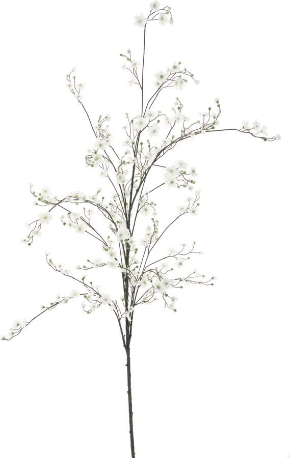 Nova Nature Peach blossombranche Kansaicream 203cm - Foto 1