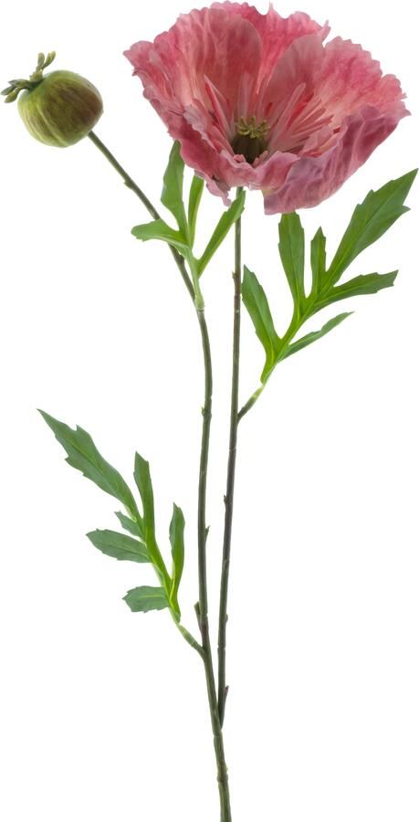 Nova Nature Poppy spray new wave pink 82cm