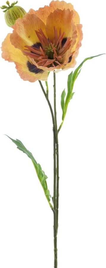 Nova Nature Poppy spray newwave peach 82cm