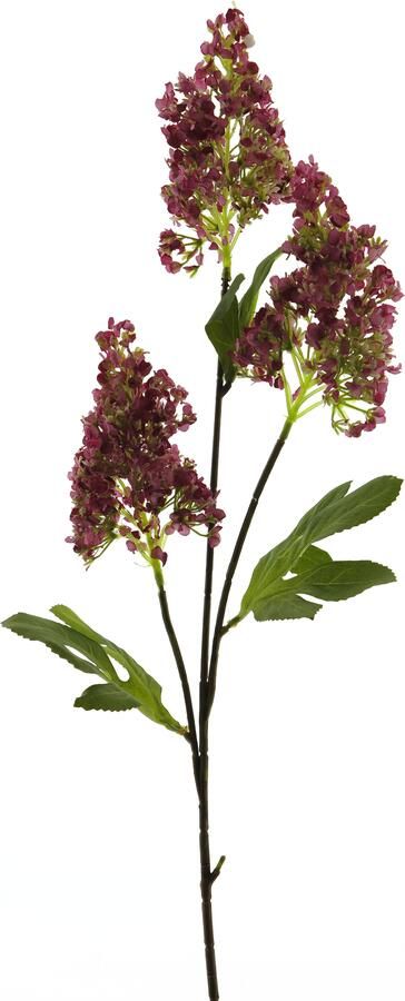 Nova Nature Seringa spray mauve 78cm