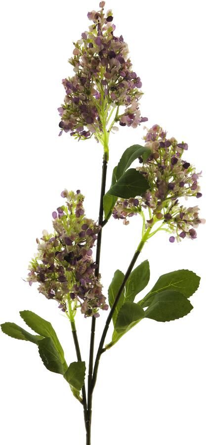 Nova Nature Seringa spray purple 78cm