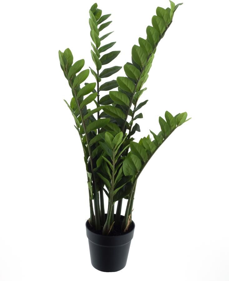 Nova Nature Zamio culcas in pot green 90cm