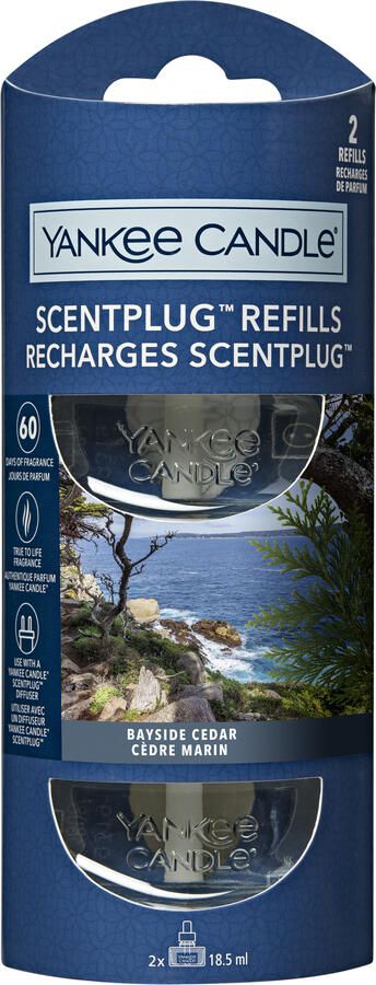 Yankee Candle Electric Refill Bayside Cedar