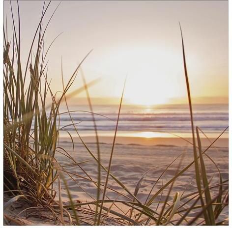 Art For the Home Zonsondergang Duinen Buitencanvas 50x50 cm