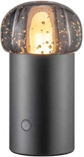 Blomus IRIS Mobiele Led Lamp Metalic