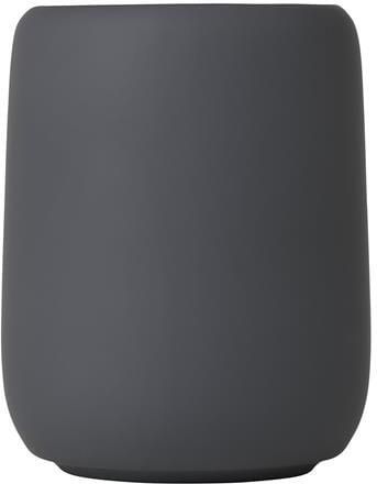 Blomus Sono Magnet Tandenborstelhouder