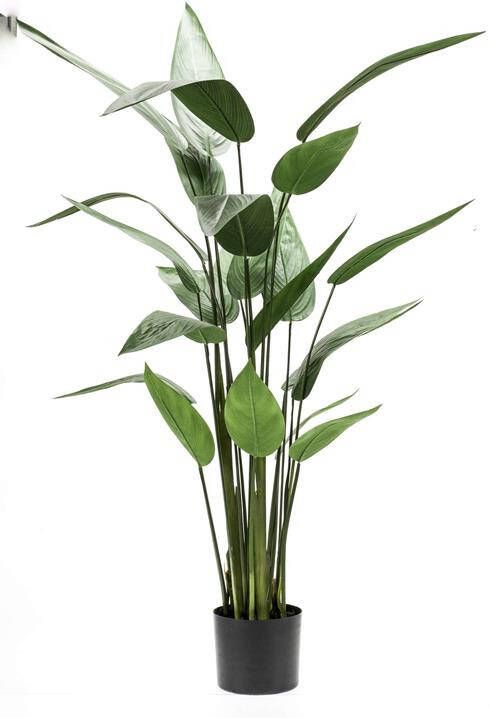 Leen Bakker Heliconia tak groen 130 cm