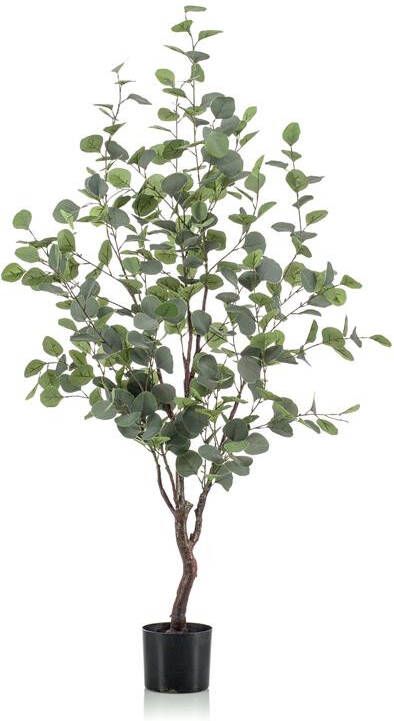Cozy Ibiza kunstplant Eucalypthus 120 cm