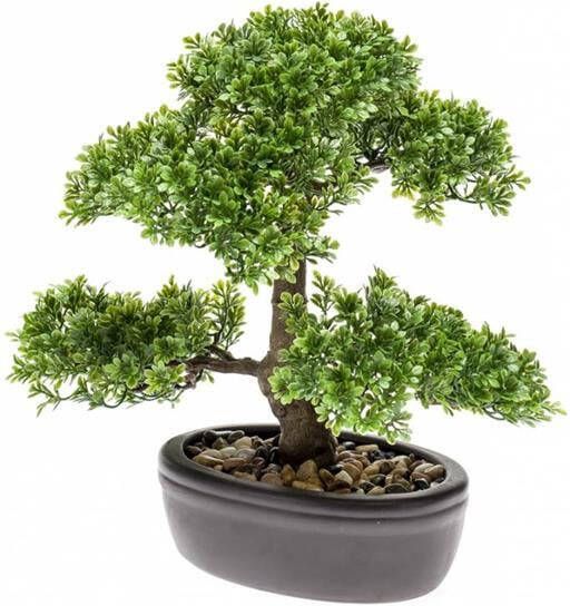 Botanic-Haus Kunstbonsai Ficus bonsai (1 stuk) - Foto 3