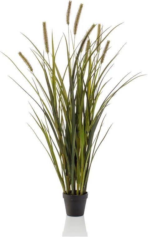 Easyplants Kunst Grasplant Lisdodde 100 Cm