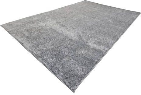 Flycarpets Ravenna Effen Vloerkleed Grijs Tapijt voor Woonkamer Laagpolig 200x290 cm