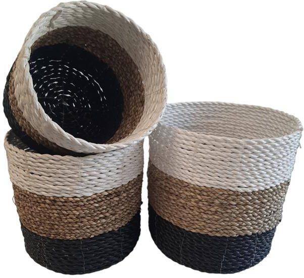 FURNILUX Natuurlijke plantenbakken Collection(3 Stuks)