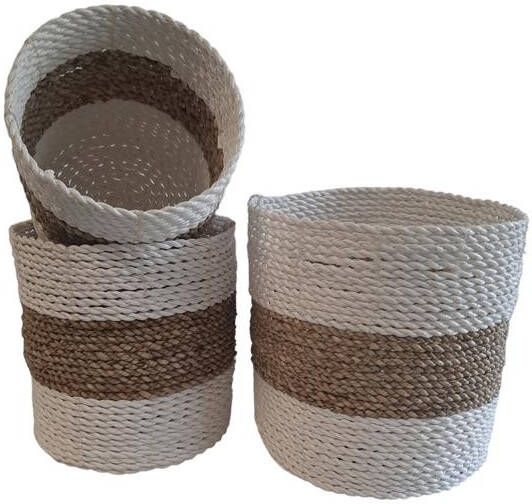 FURNILUX Natuurlijke plantenbakken Collection(3 Stuks)