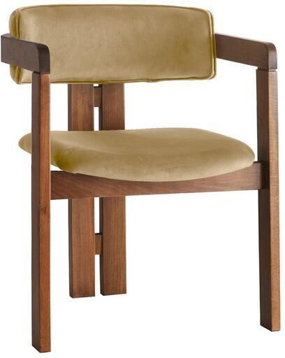 Giga Meubel Eetkamerstoel Walnoot Lichtgroen|Velvet Cozy