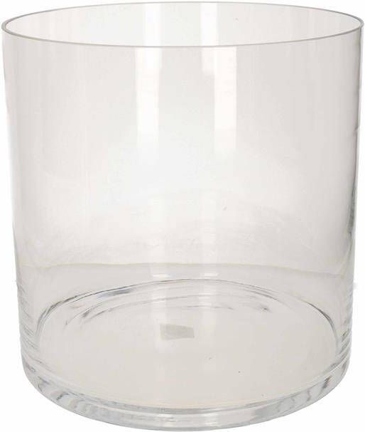 Hakbijl glass Vaas home basics cilinder glas transparant 30 cm
