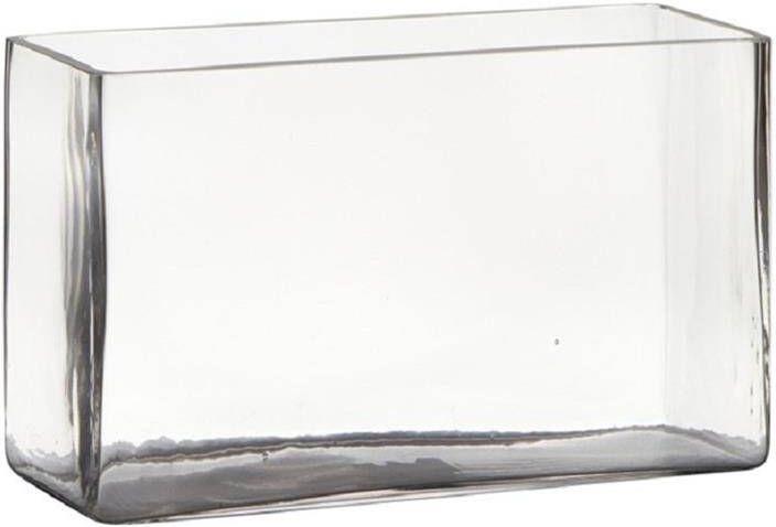 Hakbijl glass Vaas transparant rechthoek glas 25 x 10 x 15 cm