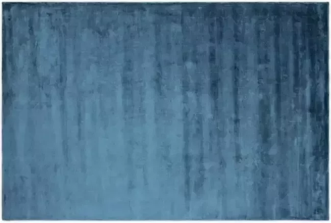 Hioshop Indra vloerkleed 350x250 cm viscose blauw.