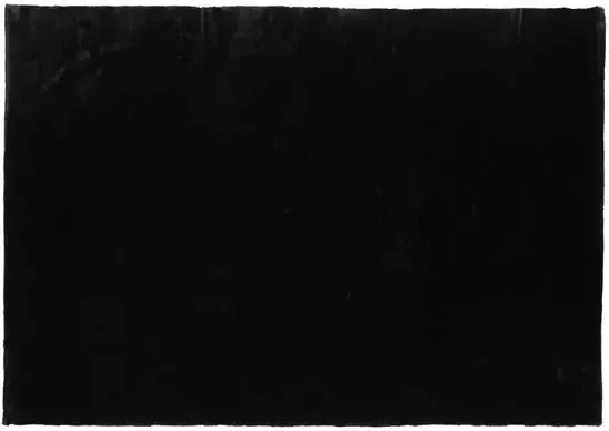 Hioshop Nina vloerkleed 230x160 cm polyester zwart.