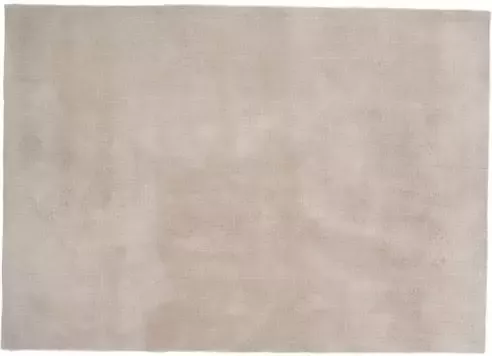 Hioshop Undra vloerkleed 240x170 cm polyester beige.