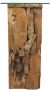 HSM Collection Pilaar Root 30x30x80cm Naturel Teak - Thumbnail 1