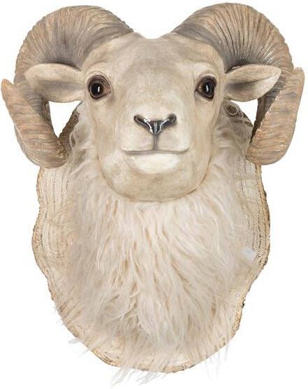 J-Line Geit Kop Hangend Poly Beige Large